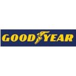 Goodyear 235/55R18 100V EfficientGrip SUV Yaz Lastiği