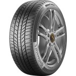 Continental 205/55R17 91H WinterContact TS870P Kış Lastiği