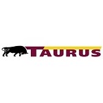 Taurus 195/65R15 91H HIGH PERFORMANS Yaz Lastiği