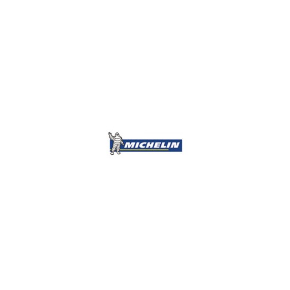 Michelin 225/45R17 91Y PRIMACY 4 Yaz Lastiği