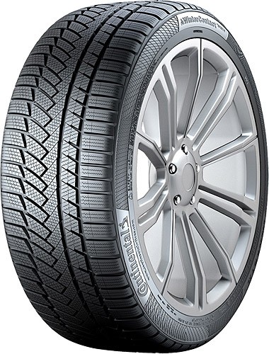 Continental Wintercontact Ts 850 P Lastikleri